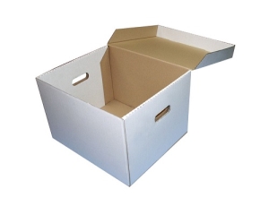 Hộp Carton Trắng - White_Corrugated_Boxes.jpg