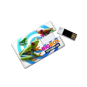USB Card Rectangle - usb-vo-namecar-card-hinh-chu-nhat-usc04-00.jpg
